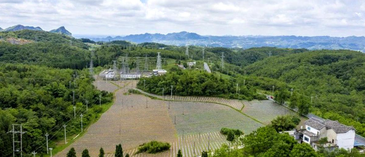 畢節(jié)市藝術(shù)攝影協(xié)會開展 “喜迎建黨100周年主題創(chuàng)作”采風(fēng)活動——生機(jī)盎然的安洛