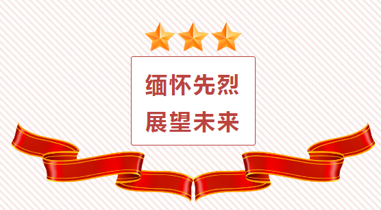 緬懷先烈 展望未來——安徽金馬藥業(yè)股份有限公司黨支部開展清明祭奠英烈活動