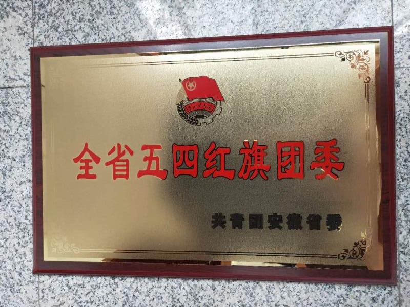 安徽潁州區(qū)王店鎮(zhèn)團(tuán)委榮獲“全省五四紅旗團(tuán)委”榮譽(yù)稱(chēng)號(hào)