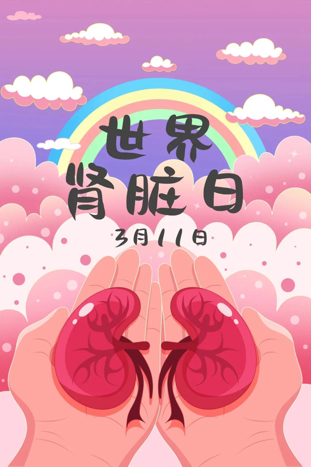 世界腎臟日丨腎好，甚好！你懂你的腎嗎？