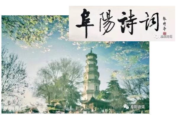 安徽阜陽(yáng)市詩(shī)詞學(xué)會(huì)到鳳臺(tái)四中參觀學(xué)習(xí)詩(shī)教工作